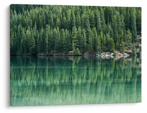Tablou - Coniferi lângă lac (70x50 cm)