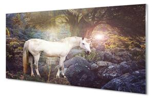 Tablouri acrilice Unicorn în pădure