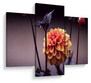 Tablou - Floare (90x60 cm)