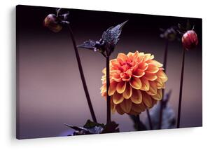Tablou - Floare (90x60 cm)