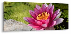 Tablou - Lotus (120x50 cm)