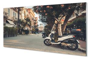 Panouri de sticlă Motociclete urbane de palmier de vară