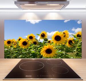 Sticlă printata bucătărie Floarea soarelui