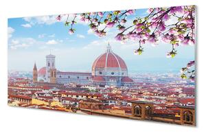 Tablouri acrilice Italia Catedrală noapte panorama