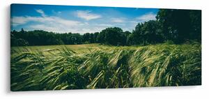 Tablou cu linca și pădure (120x50 cm)