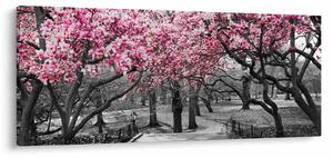 Tablou copacului magnolie (120x50 cm)