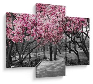 Tablou copacului magnolie (90x60 cm)