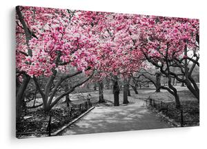 Tablou copacului magnolie (90x60 cm)