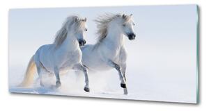 Panou sticla securizata bucatarie Doi cai în zăpadă