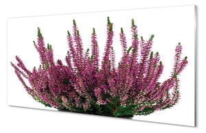 Tablouri acrilice Heathers
