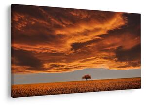 Tablou cu nori (90x60 cm)
