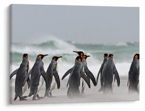 Tablou pinguini în ocean (70x50 cm)