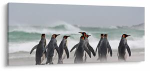 Tablou pinguini în ocean (120x50 cm)