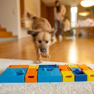 Puzzle-uri pentru câini - Pawzler