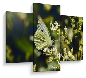 Tablou cu fluture (90x60 cm)