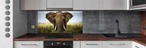 Sticlă bucătărie Elephant pe savana