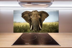 Sticlă bucătărie Elephant pe savana