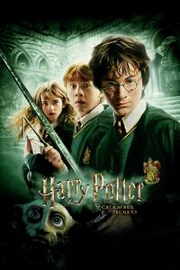 Poster de artă Harry Potter - Camera Secretelor, (26.7 x 40 cm)