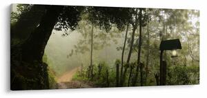 Tablou cu ceața de dimineața (120x50 cm)