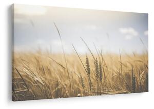 Tablou cu grâne (90x60 cm)