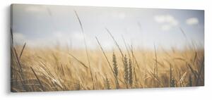 Tablou cu grâne (120x50 cm)