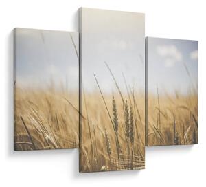 Tablou cu grâne (90x60 cm)