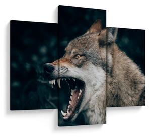 Tablou cu lup (90x60 cm)