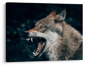 Tablou cu lup (70x50 cm)
