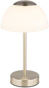 Globo Lighting Sarima veioză 1x2.5 W nichel 21014N