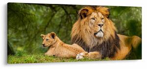Tablou cu lei (120x50 cm)