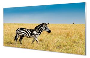 Tablouri acrilice caseta Zebra