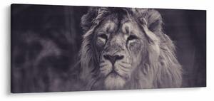 Tablou cu leu (120x50 cm)