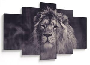 Tablou cu leu (150x105 cm)