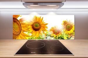 Panou sticlă bucătărie Floarea soarelui