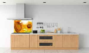 Panou sticlă bucătărie Floarea soarelui