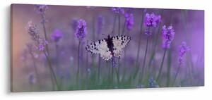 Tablou - fluture în lavandă (120x50 cm)
