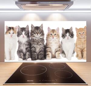 Panou sticlă bucătărie șase pisici