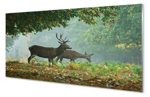 Tablouri acrilice pădure toamna Deer