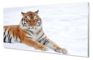 Panouri de sticlă Tiger de iarnă