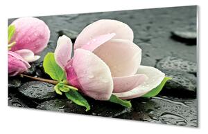 Panouri de sticlă pietre Magnolia