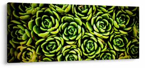 Tablou cu flori de piatră (120x50 cm)