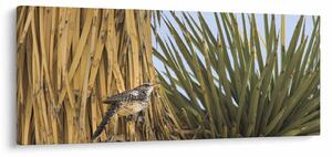Tablou - Pănțărușul (120x50 cm)