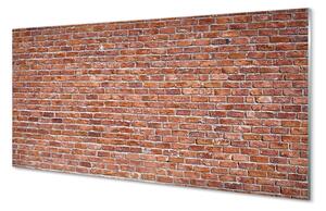 Panouri de sticlă Brick perete perete