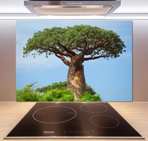 Sticlă printata bucătărie Baobab