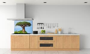 Sticlă printata bucătărie Baobab