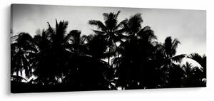 Tablou alb negru - palmieri (120x50 cm)