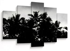 Tablou alb negru - palmieri (150x105 cm)