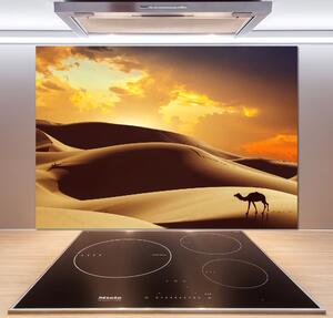 Panou de bucătărie cămilă Sahara