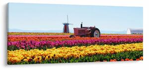 Tablou cu farma de lalele (120x50 cm)