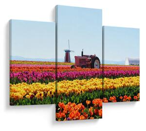 Tablou cu farma de lalele (90x60 cm)